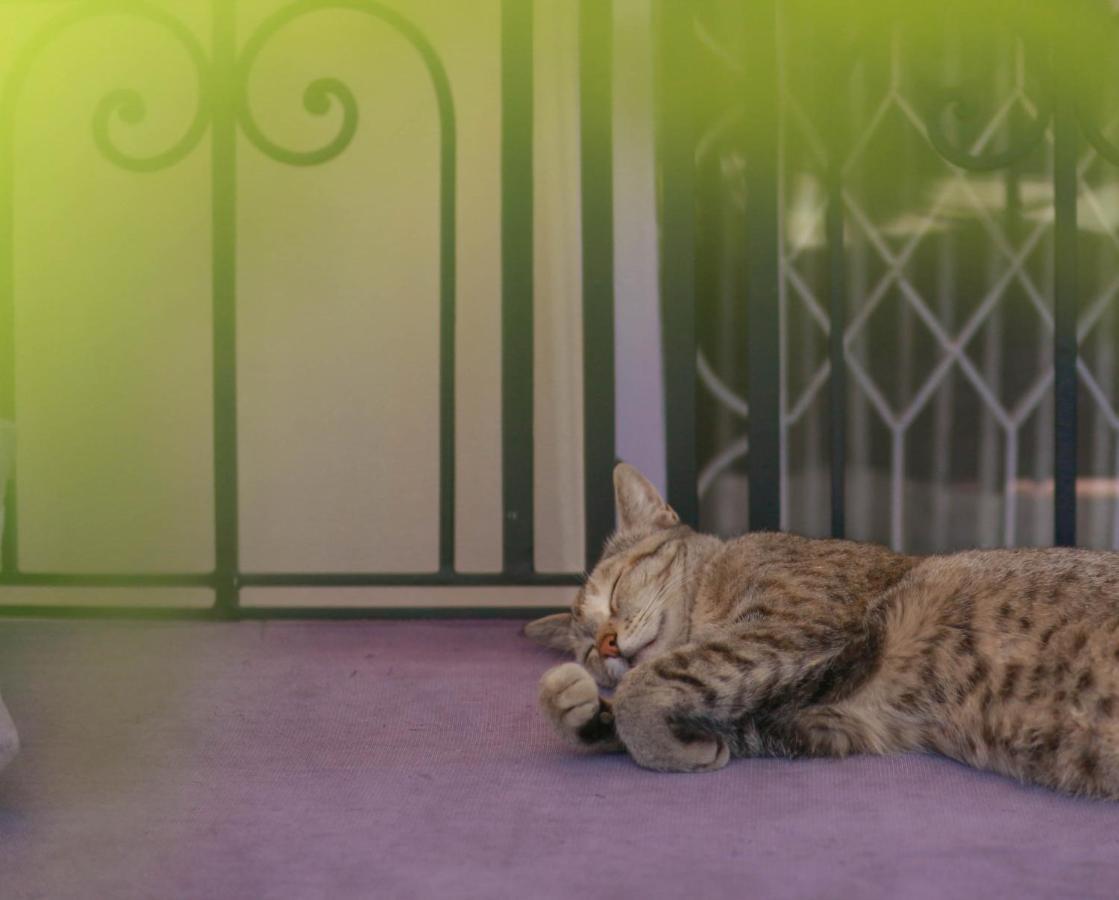 Kibu Home Catmandu Exterior foto